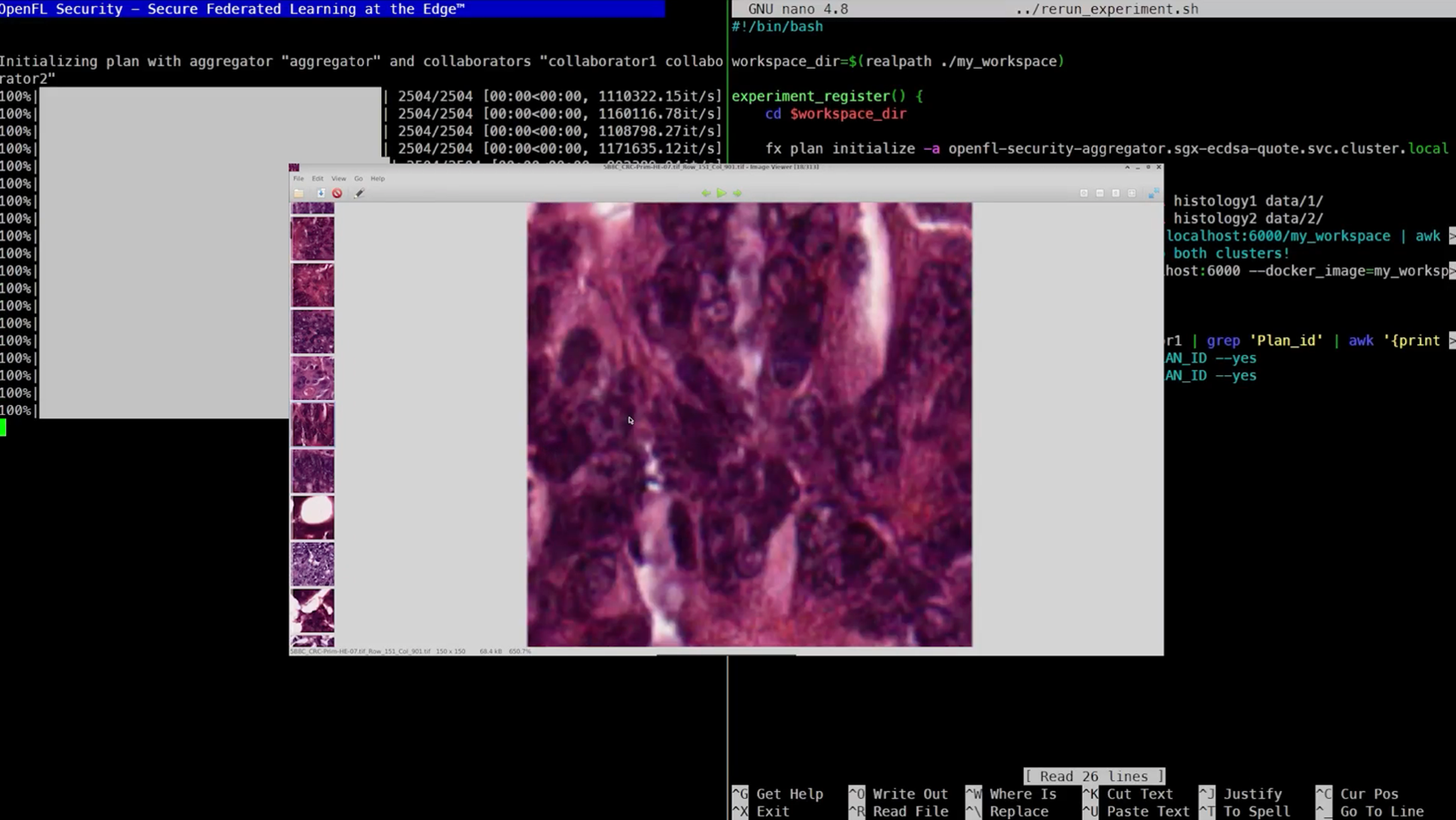A training terminal shows strings of code as OpenFL processes datasets from different organizations. An image of a brain scan is on the screen.
